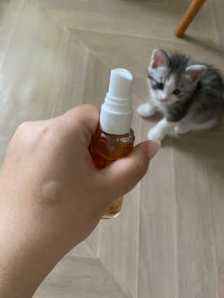단발소녀님이 올린 리뷰 사진 3