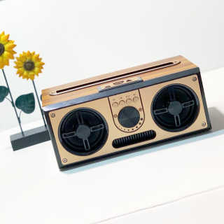 SEVIZ RETRO20W 레트로 블루투스 스피커 — 4점을 준 리뷰어가 2020년 7월 올린 사용 사진