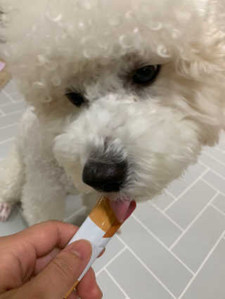 버디버즈님이 올린 리뷰 사진 1