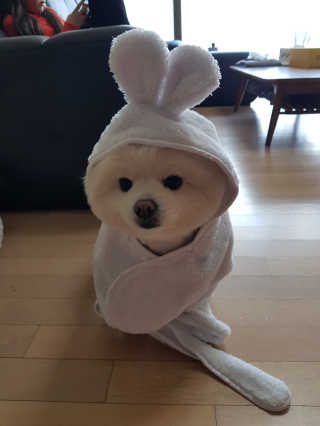 근뽕님이 올린 리뷰 사진 4