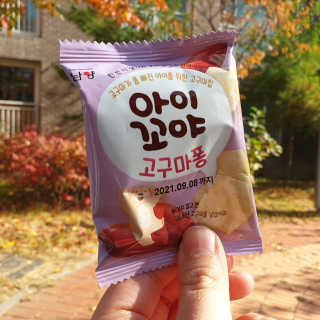 달리아님이 올린 리뷰 사진 2