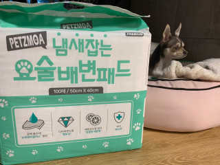 외모되죠님이 올린 리뷰 사진 3