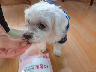 My Pet Care 천연단백질 관절건강에 개좋아 — 5점을 준 리뷰어가 2020년 12월 올린 사용 사진