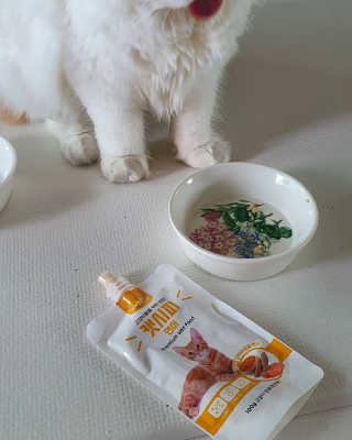 xkdidhqk님이 올린 리뷰 사진 3