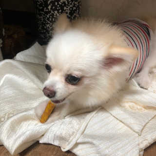 돈도니님이 올린 리뷰 사진 1