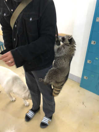 뿌미님이 올린 리뷰 사진 3