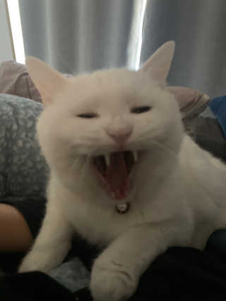 례진님이 올린 리뷰 사진 3