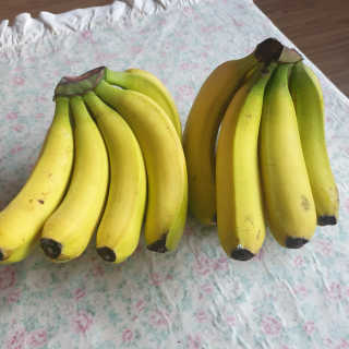 [스미후루] 감숙왕 바나나 2팩 2.6kg 이벤트 — 5점을 준 리뷰어가 2020년 10월 올린 사용 사진