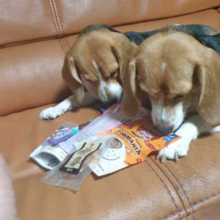beaglelove님이 올린 리뷰 사진 2