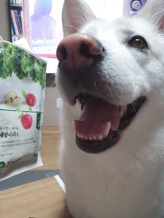딸랑구둘🥰님이 올린 리뷰 사진 1
