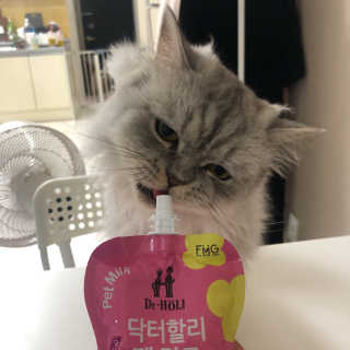 뽀송님이 올린 리뷰 사진 2
