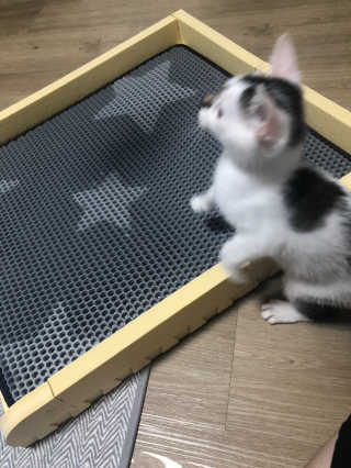 하후니님이 올린 리뷰 사진 3