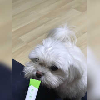물끼님이 올린 리뷰 사진 3
