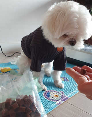My Pet Care 천연단백질 눈건강에 개좋아 — 5점을 준 리뷰어가 2020년 11월 올린 사용 사진