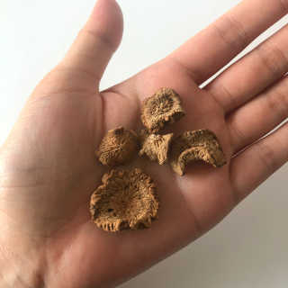 라니님이 올린 리뷰 사진 2