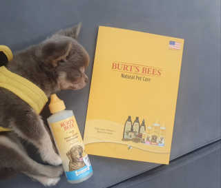 김선아님이 올린 리뷰 사진 3