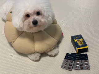 용용맹님이 올린 리뷰 사진 3