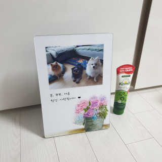 보미누나님이 올린 리뷰 사진 3
