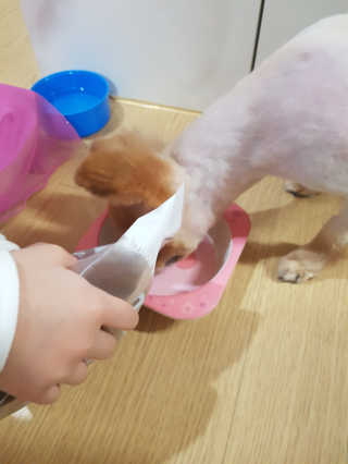 다솜다빈이아빠님이 올린 리뷰 사진 3