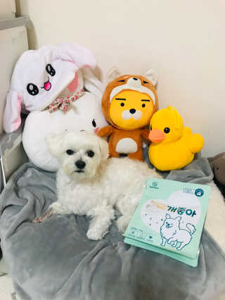My Pet Care 천연단백질 눈건강에 개좋아 — 5점을 준 리뷰어가 2020년 11월 올린 사용 사진