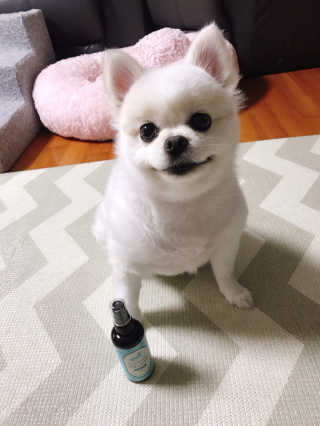 라움님이 올린 리뷰 사진 2