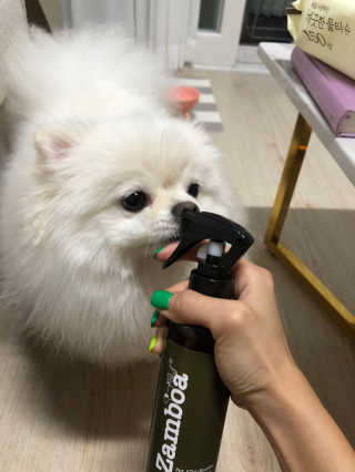 라비앙님이 올린 리뷰 사진 1