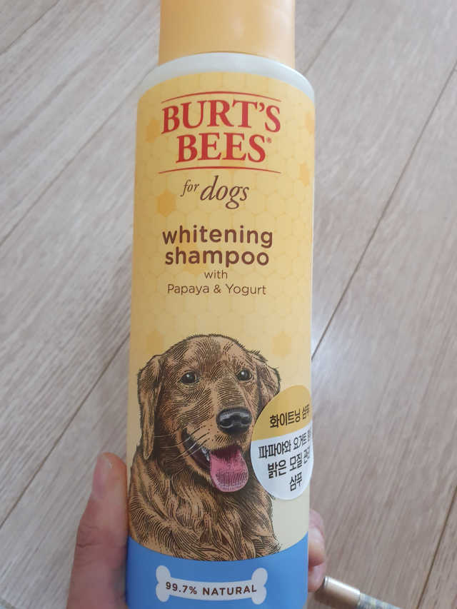 버츠비 화이트닝 샴푸 리뷰 사진