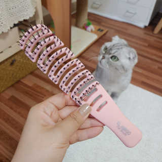 유햐님이 올린 리뷰 사진 4