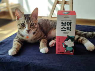 상어오리님이 올린 리뷰 사진 1