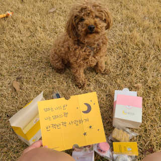 [달미펫] 강아지 롤케이크 및 디저트 SET — 4점을 준 리뷰어가 2020년 11월 올린 사용 사진