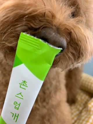 코끼리님이 올린 리뷰 사진 3