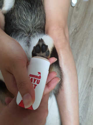 [레드허니밤]자유펫 고양이 강아지 발바닥 밤 14g — 5점을 준 리뷰어가 2020년 7월 올린 사용 사진