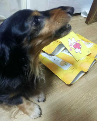 썬님이 올린 리뷰 사진 3