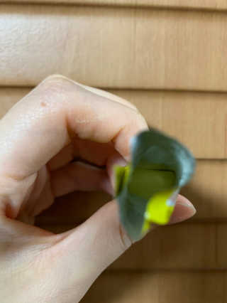 릴리님이 올린 리뷰 사진 2