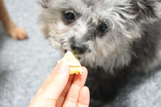 이설님이 올린 리뷰 사진 3