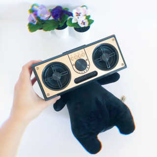 SEVIZ RETRO20W 레트로 블루투스 스피커 — 5점을 준 리뷰어가 2020년 7월 올린 사용 사진