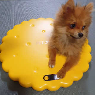 블랑로랑님이 올린 리뷰 사진 3