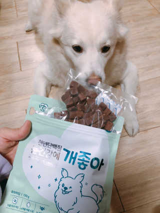My Pet Care 천연단백질 눈건강에 개좋아 — 5점을 준 리뷰어가 2020년 12월 올린 사용 사진