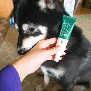 포장마차님이 올린 리뷰 사진 3