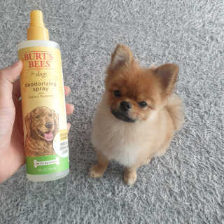 superfayeon님이 올린 리뷰 사진 1