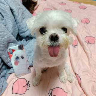 니코니코니님이 올린 리뷰 사진 3