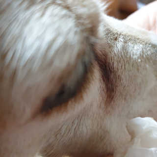beaglelove님이 올린 리뷰 사진 4