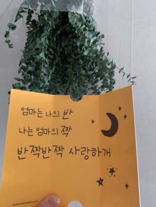 [달미펫] 강아지 롤케이크 및 디저트 SET — 5점을 준 리뷰어가 2020년 11월 올린 사용 사진