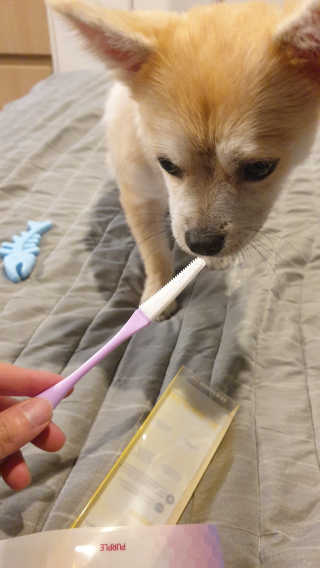 좋아님이 올린 리뷰 사진 4