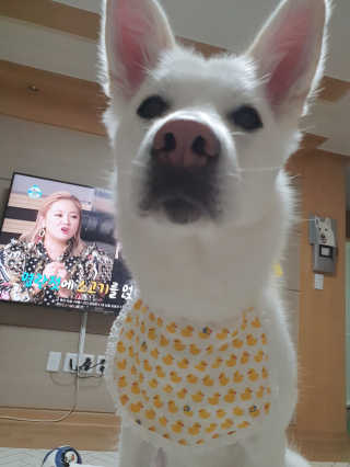 딸랑구둘🥰님이 올린 리뷰 사진 3