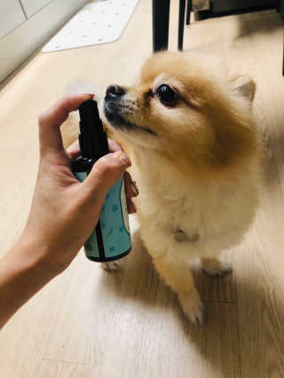쿠키쿠님이 올린 리뷰 사진 3