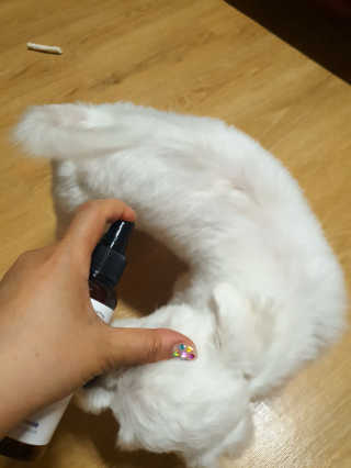 미진냥님이 올린 리뷰 사진 2