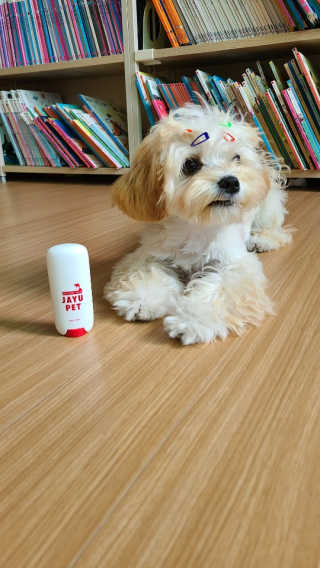 [레드허니밤]자유펫 고양이 강아지 발바닥 밤 14g — 5점을 준 리뷰어가 2020년 7월 올린 사용 사진