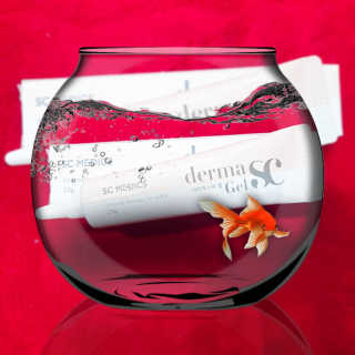 derma SC-Gel 더마에스씨 겔 20g — 5점을 준 리뷰어가 2020년 5월 올린 사용 사진