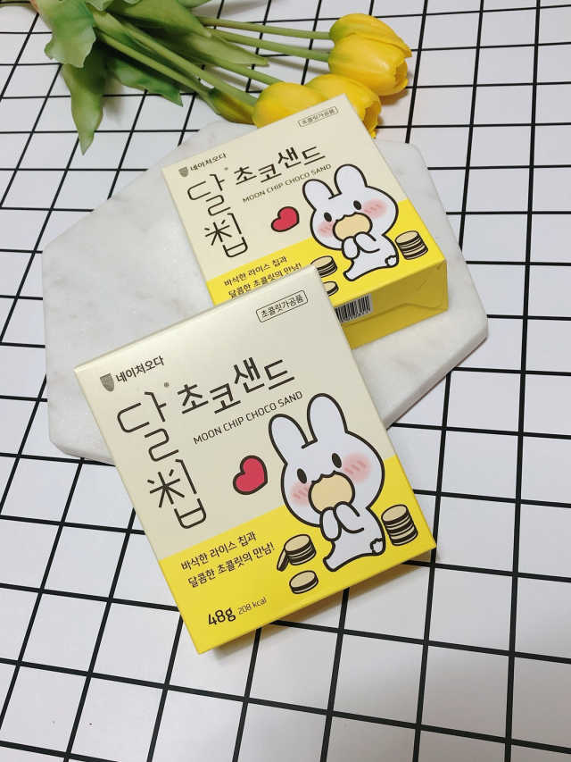 달칩 초코샌드 리뷰 사진